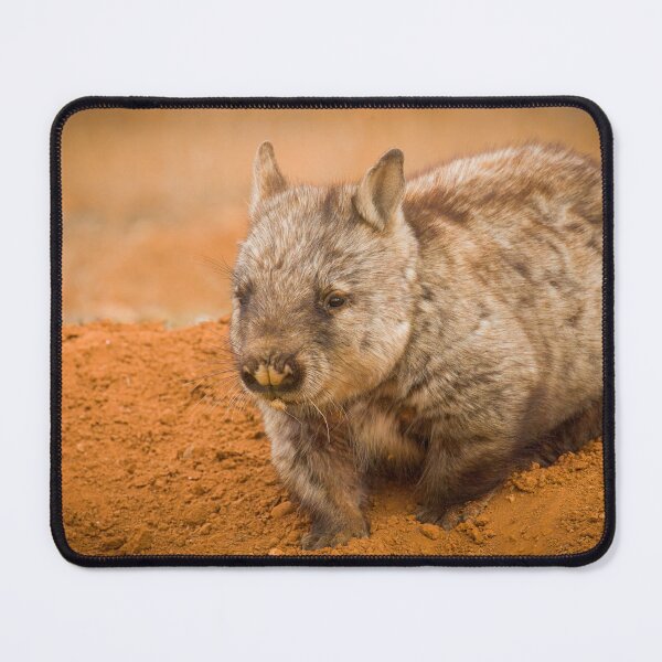 Item preview, The Digger designed and sold by CBoyle.