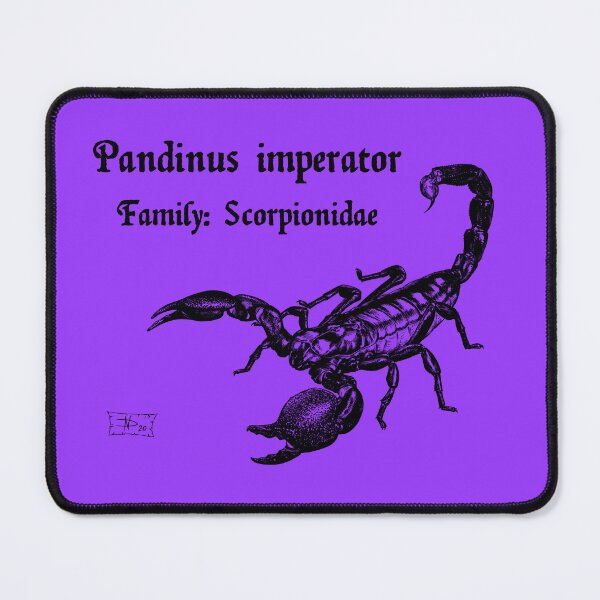 Item preview, Pandinus imperator designed and sold by DavidNeffArt.