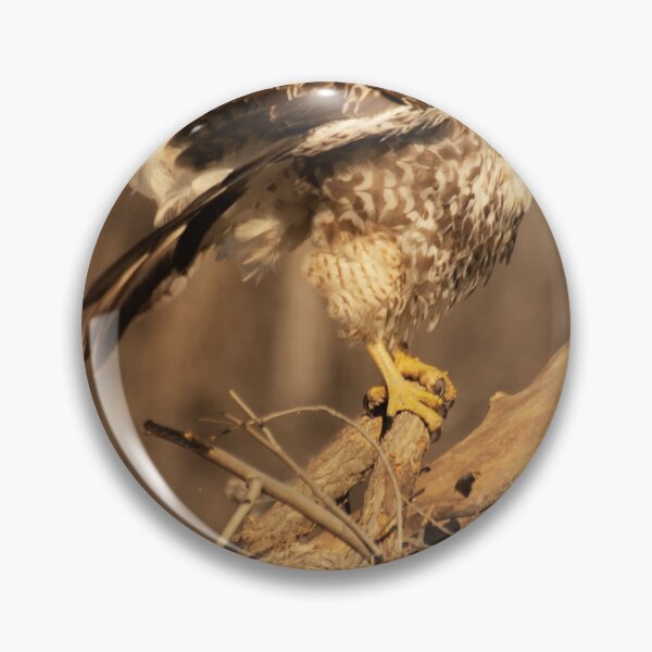 Item preview, Preening Hawk designed and sold by Ruth Jolly.