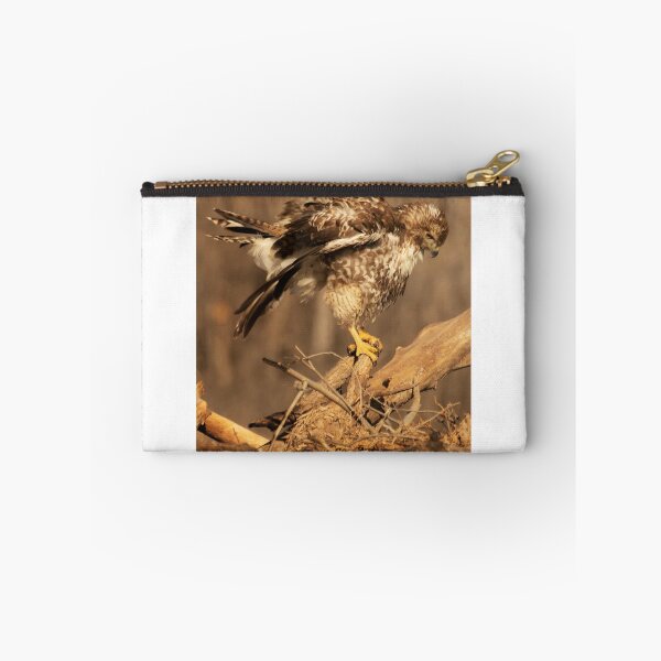 Item preview, Preening Hawk designed and sold by Ruth Jolly.