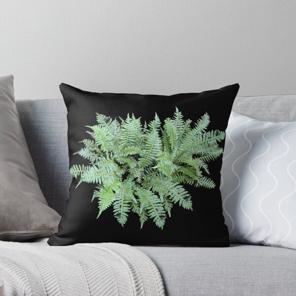 Item preview, Green Ferns designed and sold by GardenDreaming.