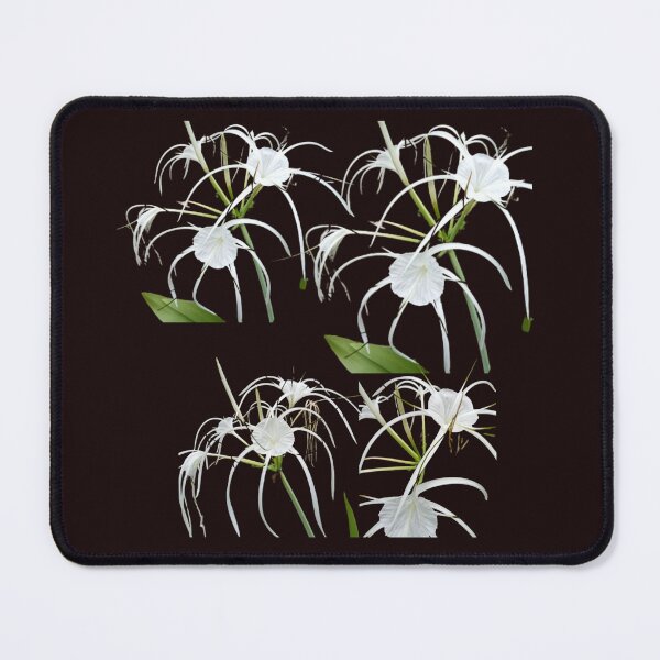 Item preview, white flowers found in the forest designed and sold by Nopidesign-.