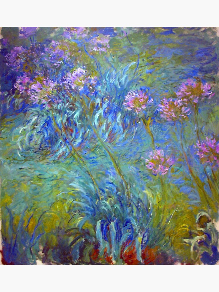 Agapanthus Claude Monet Pink Flowers Print Poster By Bragova Redbubble