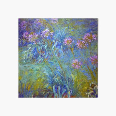 Item preview, Agapanthus Claude Monet Pink Flowers Print designed and sold by Vicky Brago-Mitchell®.