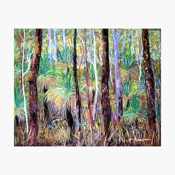 Item preview, Grass Trees Cunningham's Gap Queensland [Pastel] designed and sold by ginnymac.
