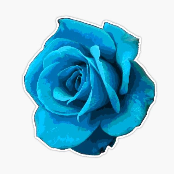 Blue Rose
