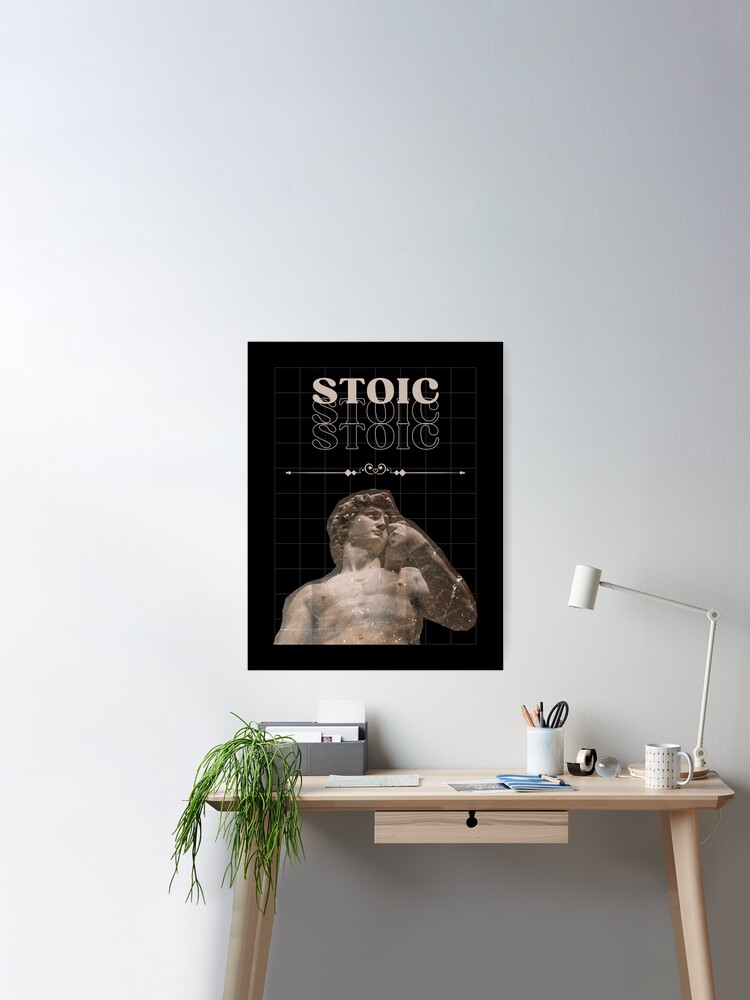 Veni, Vidi, Vici - Dictionary Definition Poster for Sale by StoicWisdom