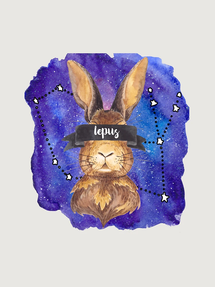 Thumbnail 6 von 6, Premium Oversized Pullover, Lepus designt und verkauft von Rydread.