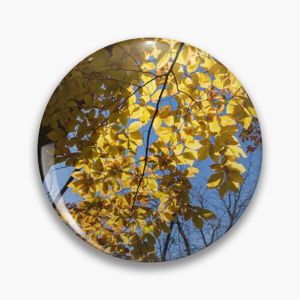 Item preview, Like a Golden Curtain - Forest Bathing on a Glorious Autumn Day designed and sold by Georgia Mizuleva.