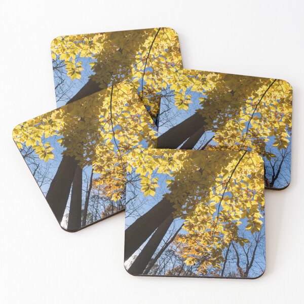 Item preview, Like a Golden Curtain - Forest Bathing on a Glorious Autumn Day designed and sold by Georgia Mizuleva.