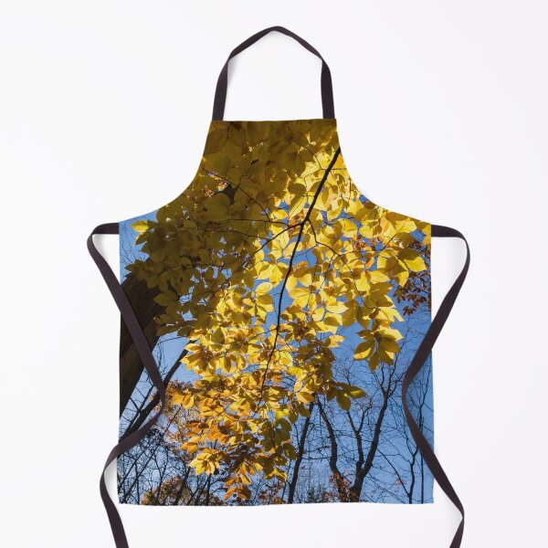 Item preview, Like a Golden Curtain - Forest Bathing on a Glorious Autumn Day designed and sold by Georgia Mizuleva.