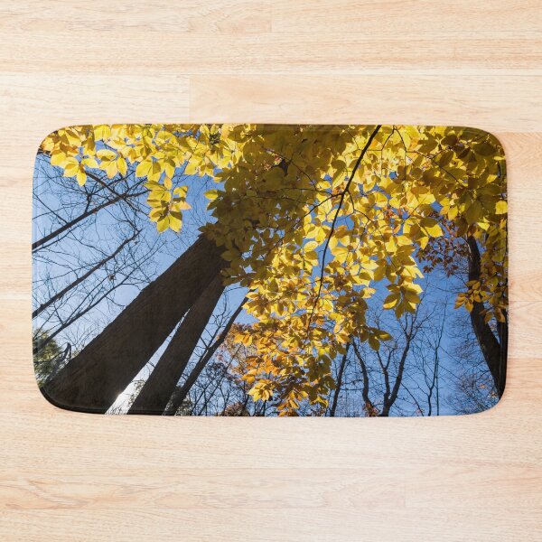Item preview, Like a Golden Curtain - Forest Bathing on a Glorious Autumn Day designed and sold by Georgia Mizuleva.