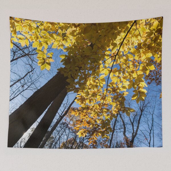 Item preview, Like a Golden Curtain - Forest Bathing on a Glorious Autumn Day designed and sold by Georgia Mizuleva.