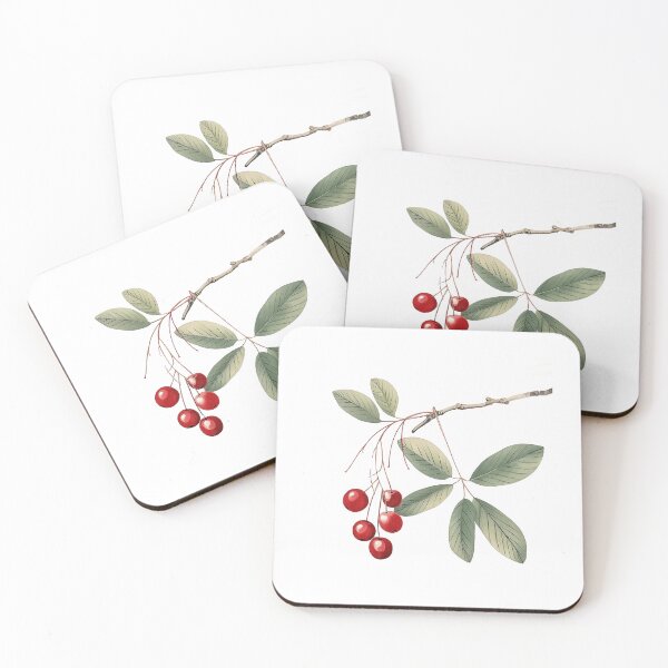 Item preview, Cherry Delights designed and sold by websajtovinis.