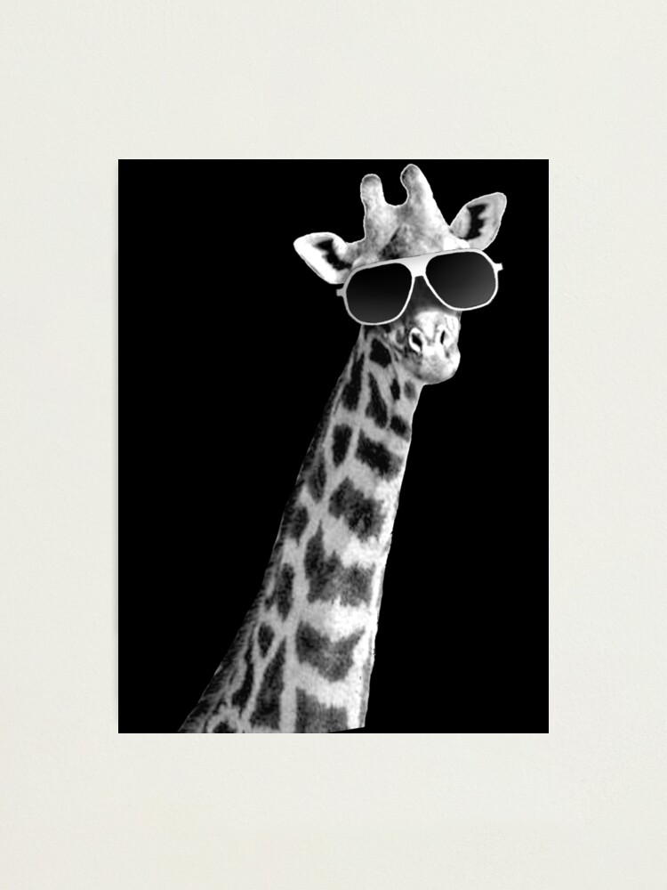 awesome giraffe pictures