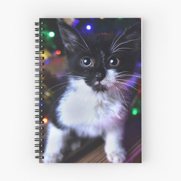 Item preview, Christmas Cute little kitten, photo designed and sold by Linettka.
