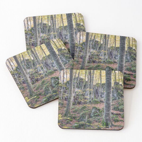 Item preview, Autumn Forest, Fageda d'en Jordà in La Garrotxa's, Catalonia, Spain designed and sold by Marc Garrido Clotet.