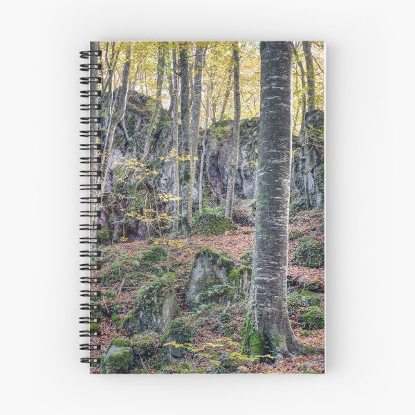 Item preview, Autumn Forest, Fageda d'en Jordà in La Garrotxa's, Catalonia, Spain designed and sold by Marc Garrido Clotet.