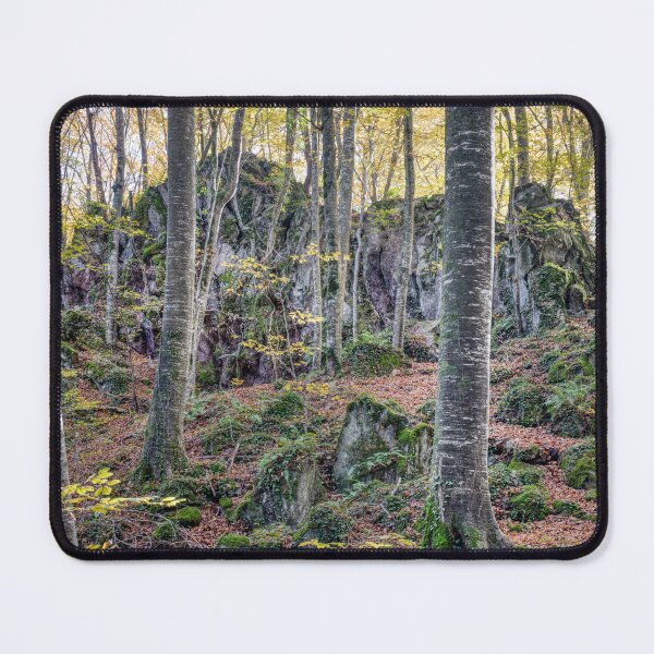 Item preview, Autumn Forest, Fageda d'en Jordà in La Garrotxa's, Catalonia, Spain designed and sold by Marc Garrido Clotet.