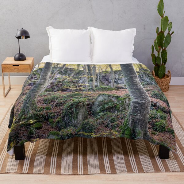 Item preview, Autumn Forest, Fageda d'en Jordà in La Garrotxa's, Catalonia, Spain designed and sold by Marc Garrido Clotet.