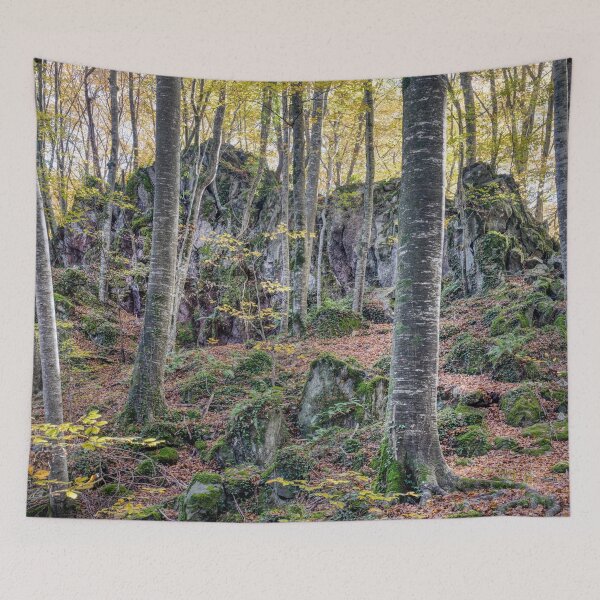 Item preview, Autumn Forest, Fageda d'en Jordà in La Garrotxa's, Catalonia, Spain designed and sold by Marc Garrido Clotet.