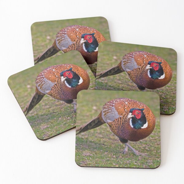 Item preview, Cock Pheasant designed and sold by Krys Bailey.