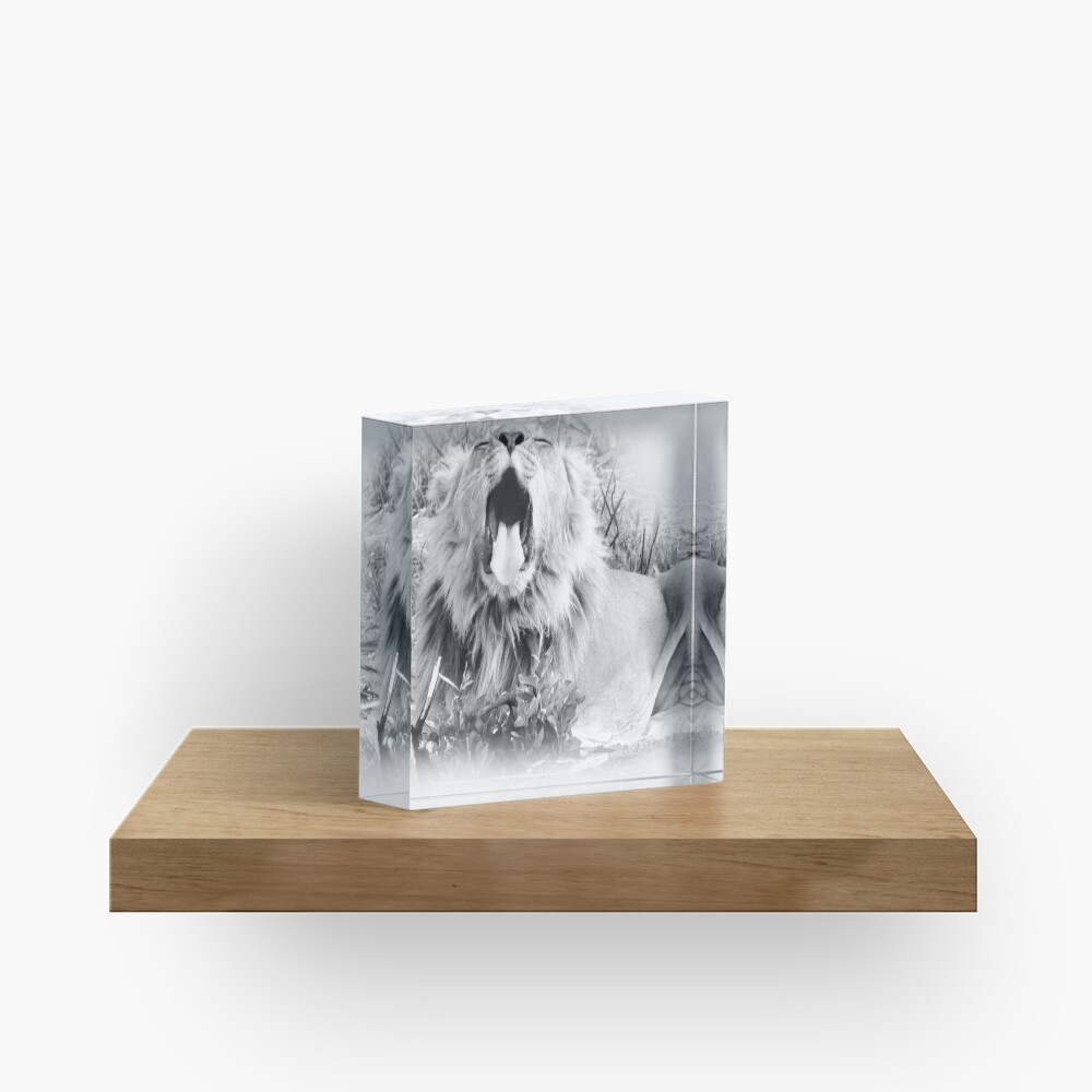 Artikel-Vorschau von Acrylblock, designt und verkauft von Enagel.