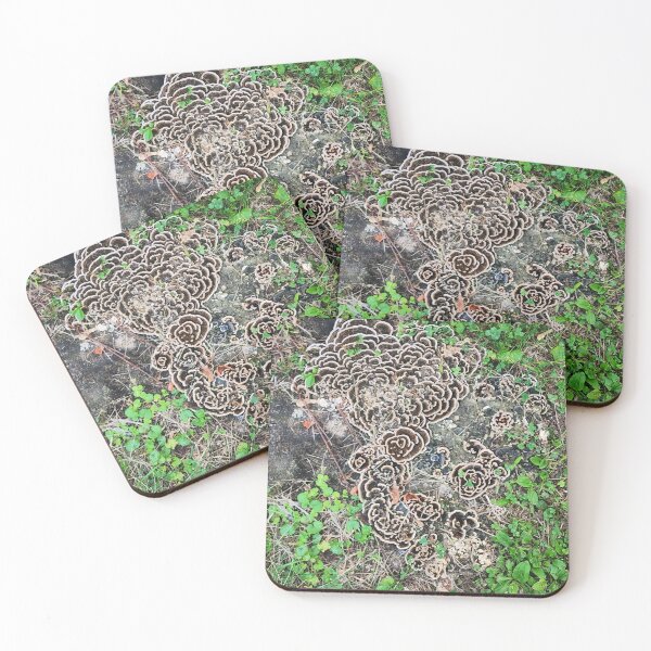 Item preview, Turkey Tail mushrooms on a stump designed and sold by Lissa6613.
