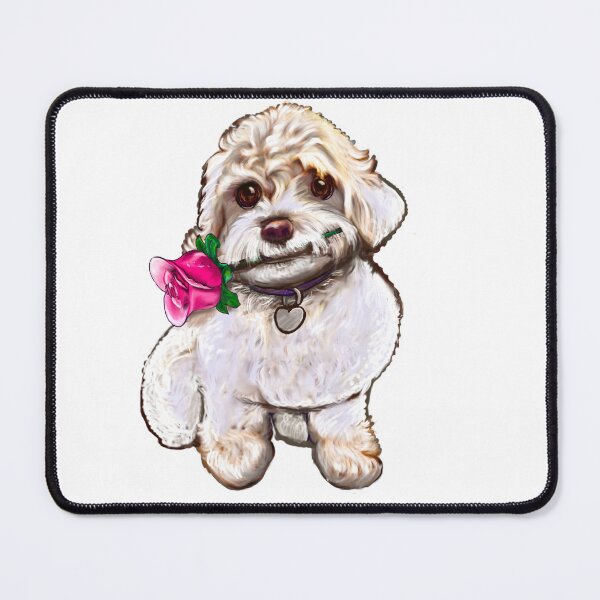 Item preview, white Cavapoo cavoodle with red rose - puppy dog  - cavalier king charles spaniel poodle, dog Valentine’s day designed and sold by Artonmytee.