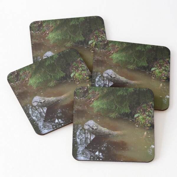 Item preview, Waters from the Forest and Fields mixing designed and sold by Jouko Lehto Photography.