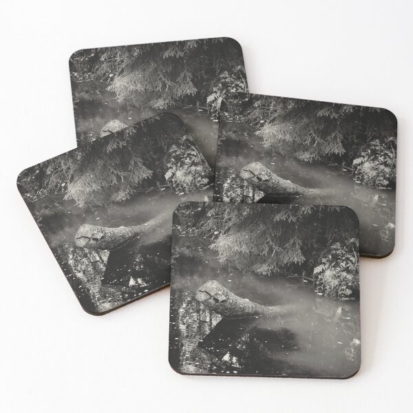 Item preview, Waters from the Forest and Fields mixing bw designed and sold by Jouko Lehto Photography.