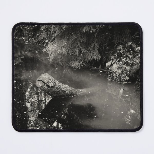 Item preview, Waters from the Forest and Fields mixing bw designed and sold by Jouko Lehto Photography.