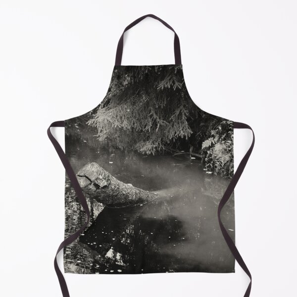 Item preview, Waters from the Forest and Fields mixing bw designed and sold by Jouko Lehto Photography.