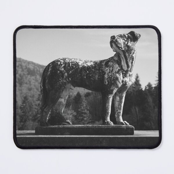 Item preview, Guardian designed and sold by NIKOLAY GACHEV.