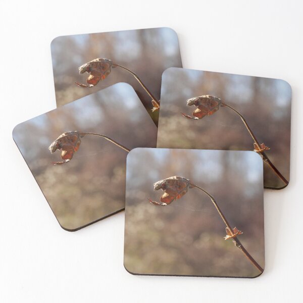 Item preview, Frosty Morning designed and sold by NIKOLAY GACHEV.