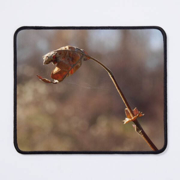 Item preview, Frosty Morning designed and sold by NIKOLAY GACHEV.
