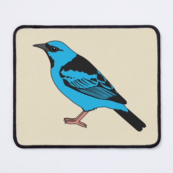 Item preview, Blue dacnis designed and sold by taylorrowan.