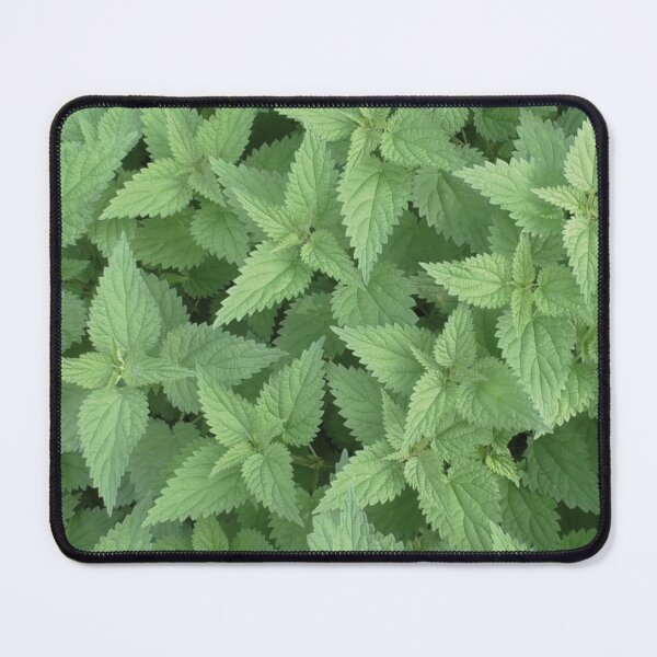 Item preview, Nettle designed and sold by oksbprint.