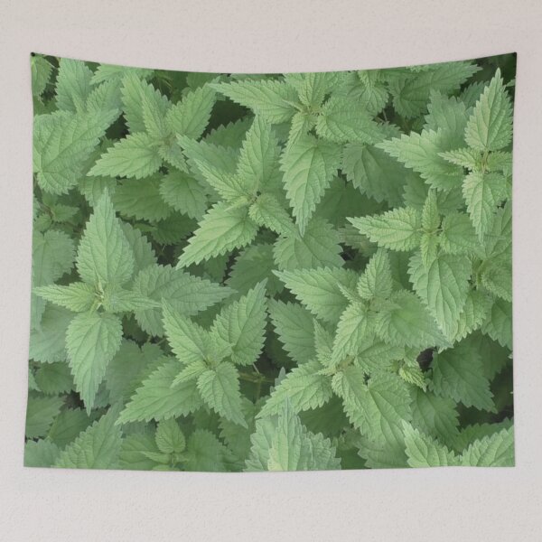 Item preview, Nettle designed and sold by oksbprint.