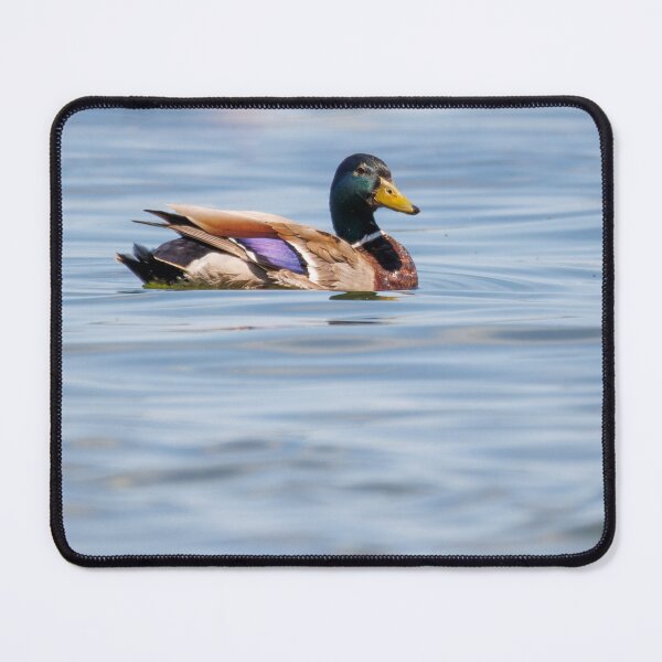 Item preview, Wellington Beach Mallard designed and sold by RickShag.