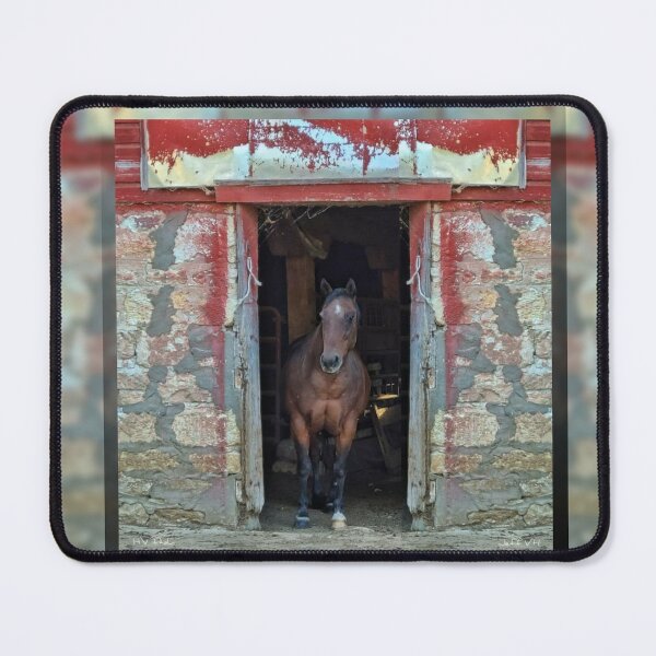 Item preview, Horse in Red Barn by JVH designed and sold by Kay Grinsteinner.