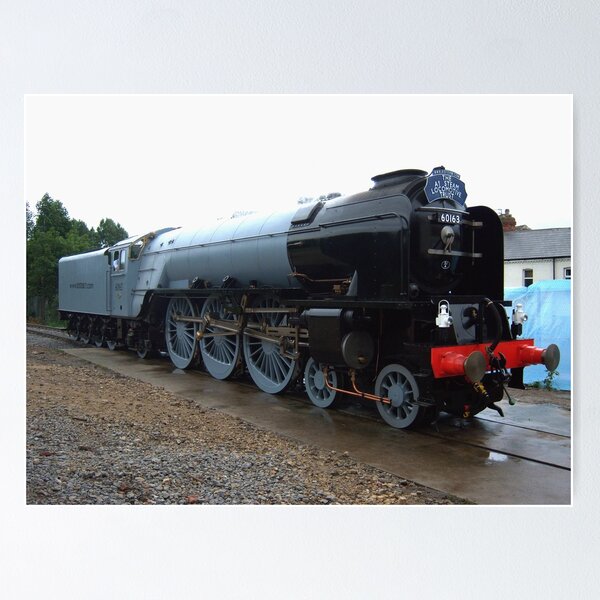 Item preview, 60163 Tornado 1 designed and sold by Francespoppy.