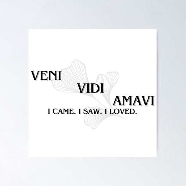 Veni. Vidi. Amavi. We Came. We Saw. We Loved. Hand-lettered 