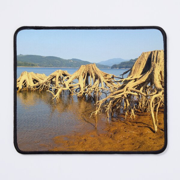 Item preview, A Study in Stumps designed and sold by ArtistrybyLeisa.