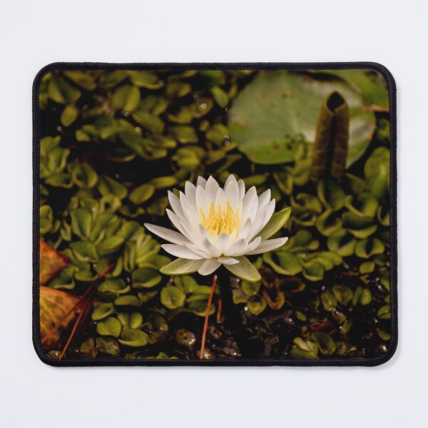 Item preview, Floating with Grace designed and sold by claireecuyer.
