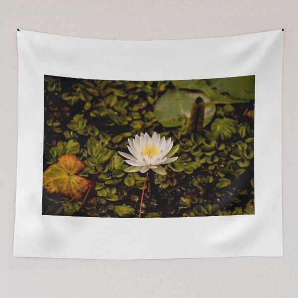 Item preview, Floating with Grace designed and sold by claireecuyer.
