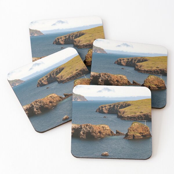Item preview, Channel Islands National Park Santa Cruz Island  designed and sold by supernova23.