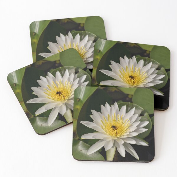 Item preview, Pollinating the Bayou designed and sold by claireecuyer.