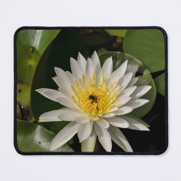 Item preview, Pollinating the Bayou designed and sold by claireecuyer.