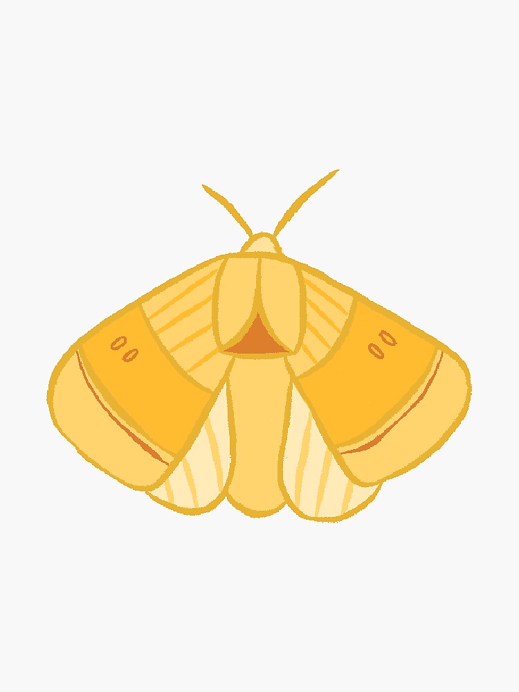 Moth Sticker for Sale by FionaCreates72